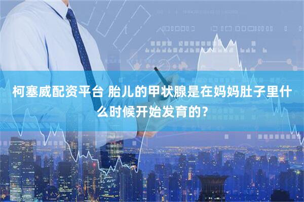 柯塞威配资平台 胎儿的甲状腺是在妈妈肚子里什么时候开始发育的？